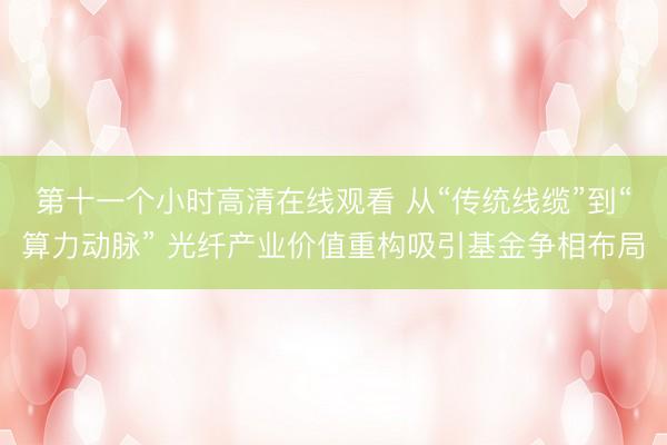 第十一个小时高清在线观看 从“传统线缆”到“算力动脉” 光纤产业价值重构吸引基金争相布局