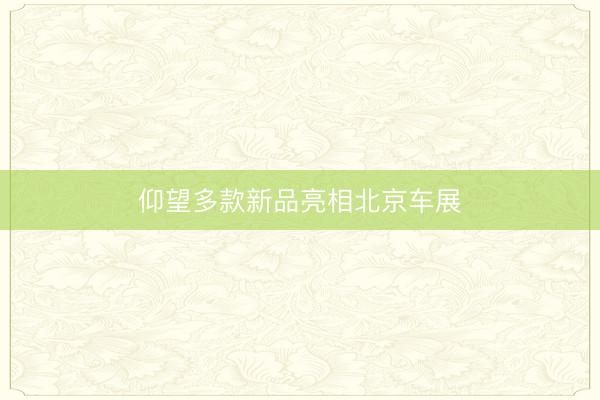 仰望多款新品亮相北京车展