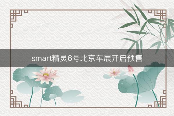 smart精灵6号北京车展开启预售