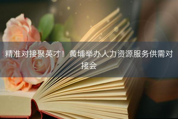 精准对接聚英才！黄埔举办人力资源服务供需对接会