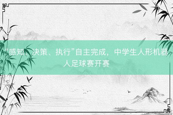 “感知、决策、执行”自主完成，中学生人形机器人足球赛开赛
