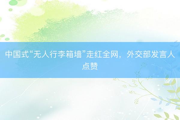 中国式“无人行李箱墙”走红全网，外交部发言人点赞