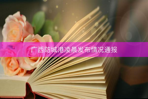 广西防城港凌晨发布情况通报