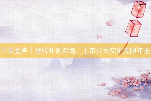 尺素金声｜营收利润双增，上市公司交出亮眼年报