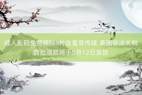 成人乱码免费视频a片含羞草传媒 美国非法关税首批退款将于5月12日发放