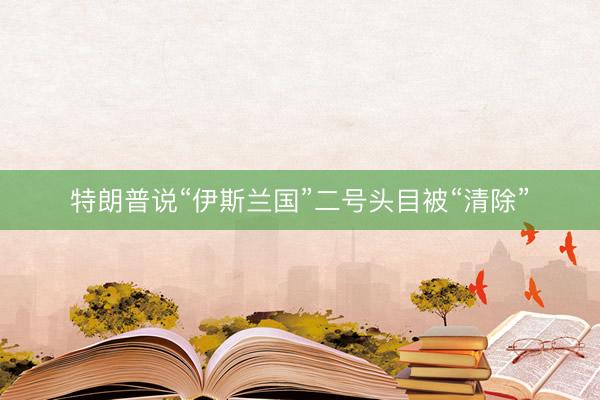 特朗普说“伊斯兰国”二号头目被“清除”