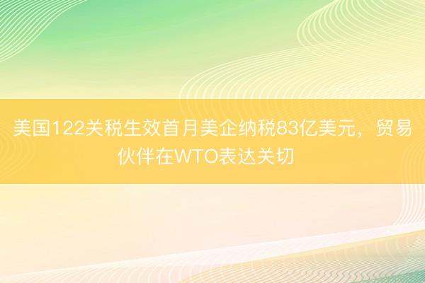美国122关税生效首月美企纳税83亿美元，贸易伙伴在WTO表达关切  