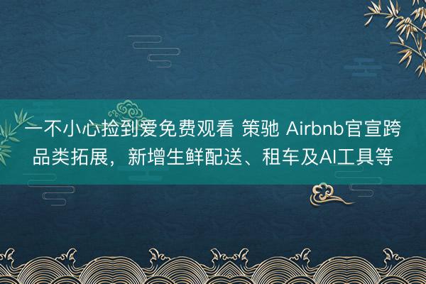 一不小心捡到爱免费观看 策驰 Airbnb官宣跨品类拓展，新增生鲜配送、租车及AI工具等