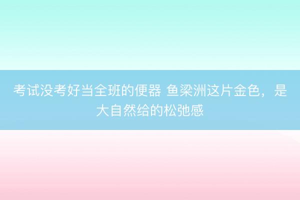 考试没考好当全班的便器 鱼梁洲这片金色，<a href=