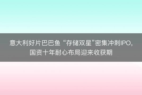 意大利好片巴巴鱼 “存储双星”密集冲刺IPO,国资十年耐心布局迎来收获期