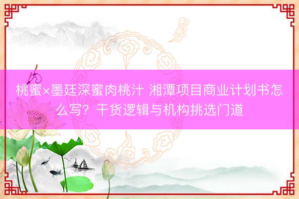 桃蜜×墨廷深蜜肉桃汁 湘潭项目商业计划书怎么写？干货逻辑与机构挑选门道