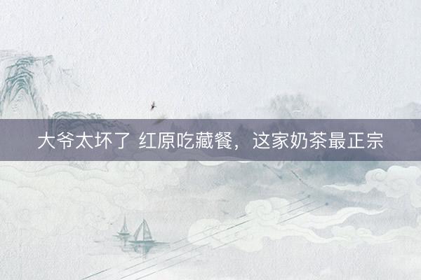 大爷太坏了 红原吃藏餐，这家奶茶最正宗