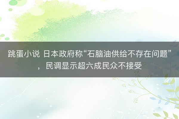 跳蛋小说 日本政府称“石脑油供给不存在问题”，民调显示超六成民众不接受