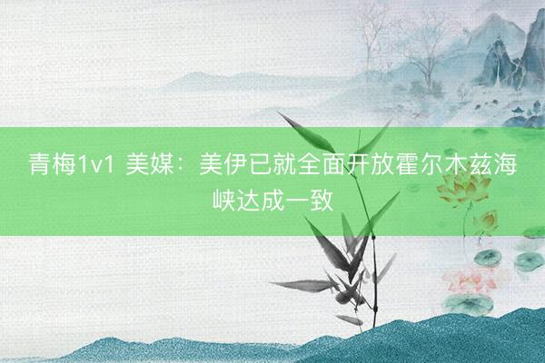 青梅1v1 美媒：美伊已就全面开放霍尔木兹海峡达成一致