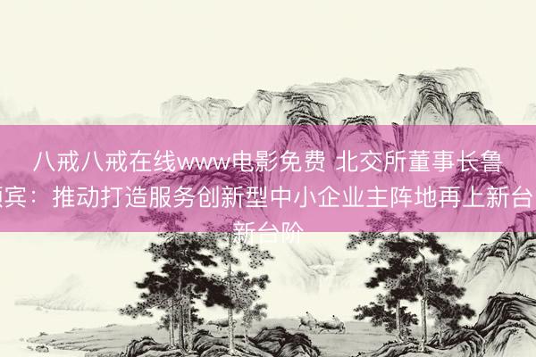 八戒八戒在线www电影免费 北交所董事长鲁颂宾：推动打造服务创新型中小企业主阵地再上新台阶