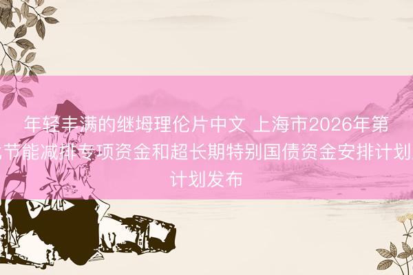 年轻丰满的继坶理伦片中文 上海市2026年第七批节能减排专项资金和超长期特别国债资金安排计划发布