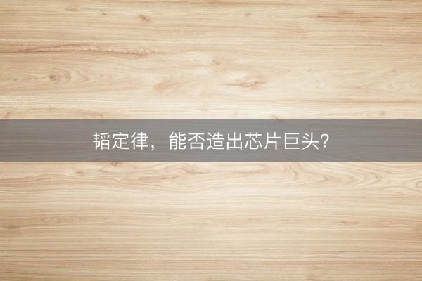 韬定律，能否造出芯片巨头？
