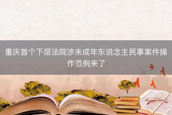 重庆首个下层法院涉未成年东说念主民事案件操作范例来了