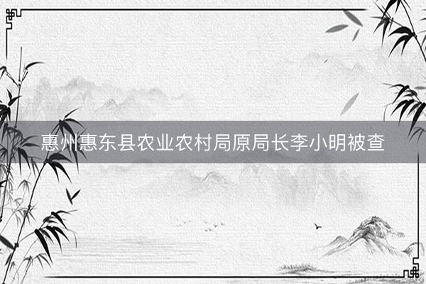 惠州惠东县农业农村局原局长李小明被查