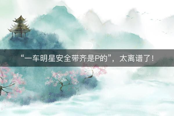 “一车明星安全带齐是P的”，太离谱了！