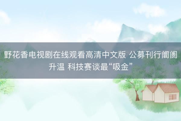 野花香电视剧在线观看高清中文版 公募刊行阛阓升温 科技赛谈最“吸金”