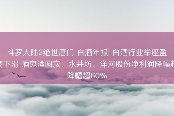 斗罗大陆2绝世唐门 白酒年报| 白酒行业举座盈利智商下滑 酒鬼酒圆寂、水井坊、洋河股份净利润降幅超60%