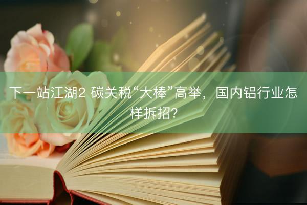 下一站江湖2 碳关税“大棒”高举，国内铝行业怎样拆招？