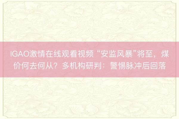 IGAO激情在线观看视频 “安监风暴”将至，煤价何去何从？多机构研判：警惕脉冲后回落