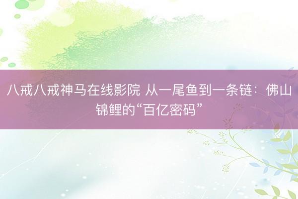 八戒八戒神马在线影院 从一尾鱼到一条链：佛山锦鲤的“百亿密码”