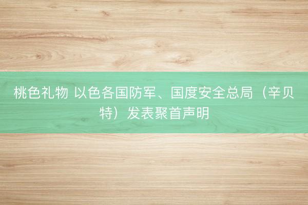 桃色礼物 以色各国防军、国度安全总局（辛贝特）发表聚首声明