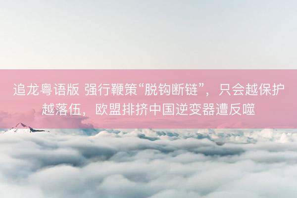 追龙粤语版 强行鞭策“脱钩断链”，只会越保护越落伍，欧盟排挤中国逆变器遭反噬