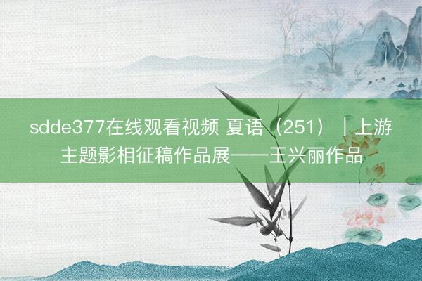 sdde377在线观看视频 夏语（251）｜上游主题影相征稿作品展——王兴丽作品