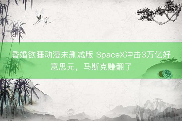 昏婚欲睡动漫未删减版 SpaceX冲击3万亿好意思元，马斯克赚翻了