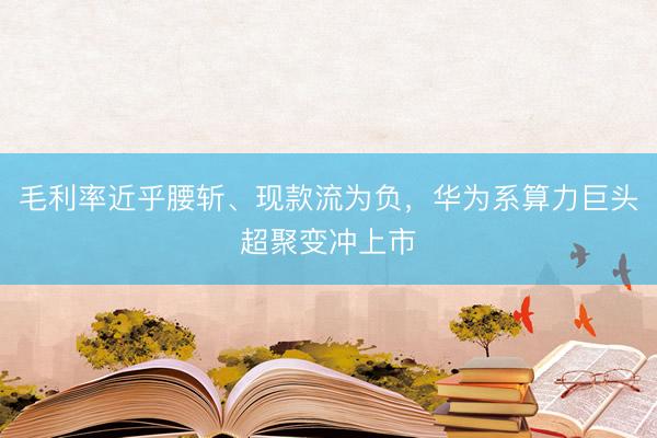 毛利率近乎腰斩、现款流为负,华为系算力巨头超聚变冲上市