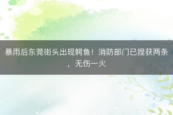 暴雨后东莞街头出现鳄鱼！消防部门已捏获两条，无伤一火