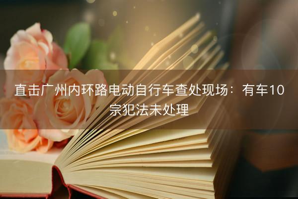 直击广州内环路电动自行车查处现场：有车10宗犯法未处理