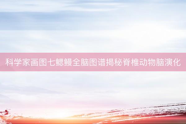 科学家画图七鳃鳗全脑图谱揭秘脊椎动物脑演化