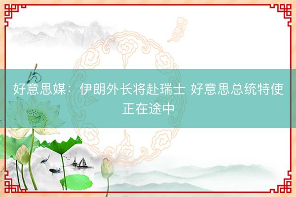好意思媒：伊朗外长将赴瑞士 好意思总统特使正在途中
