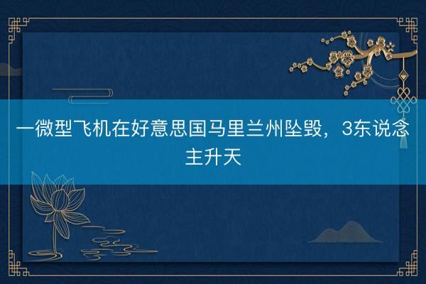 一微型飞机在好意思国马里兰州坠毁，3东说念主升天